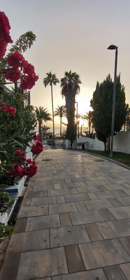 Apartamento Playa Las Americas Playa de las Americas  Exteriér fotografie